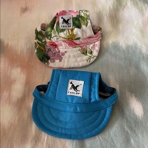 Tail Up - Set of two dog hats